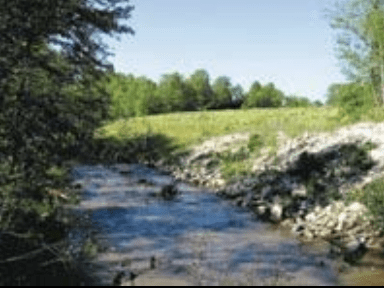 Upper Cedar Creek Reclamation
